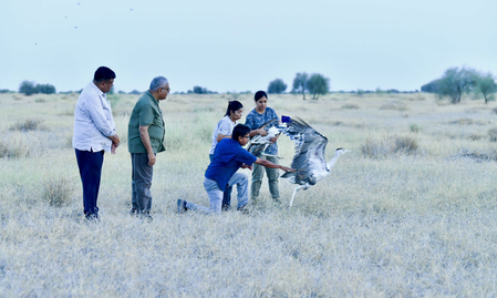 केंद्रीय मंत्री भूपेंद्र यादव ने जैसलमेर सैम डेजर्ट नेशनल पार्क में दो दुर्लभ 'ग्रेट इंडियन बस्टर्ड' पक्षियों को छोड़ा