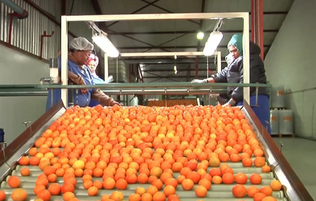 चीन के शून्य-टैरिफ उपायों से अफ्रीका के लिए विकास के अवसर पैदा होते हैं : अफ्रीकी विद्वान