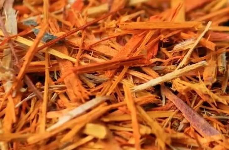 महिलाओं की खास सहेली है &lsquo;साप्पन की लकड़ी&rsquo;, एक-दो नहीं कई मर्ज की दवा