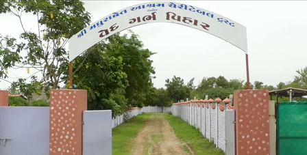 वेलनेस टूरिज्म का हब बना गुजरात, आयुर्वेद, पंचकर्म और 'लोक आयुर्वेद' कॉन्सेप्ट से हेल्थ टूरिज्म के मिल रहा बढ़ावा