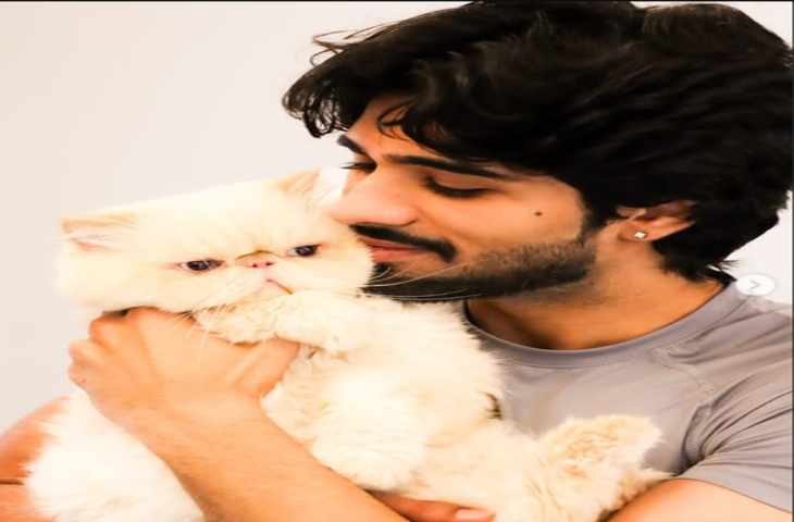 एक्टर जीशान खान की कार दूसरी गाड़ी से टकराई, सभी लोग सुरक्षित