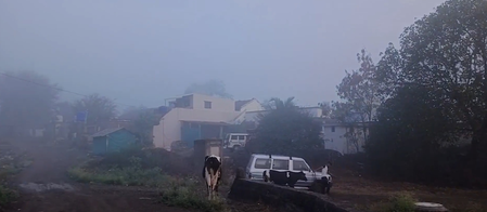 नासिक के सिन्नर में बदला मौसम का मिजाज, गर्मी की जगह बारिश और कोहरा