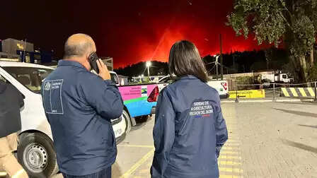 चिली में जंगल की आग से 'बड़ी तबाही का खतरा', 20 हजार से ज्यादा लोगों को सुरक्षित जगहों पर पहुंचाया गया
