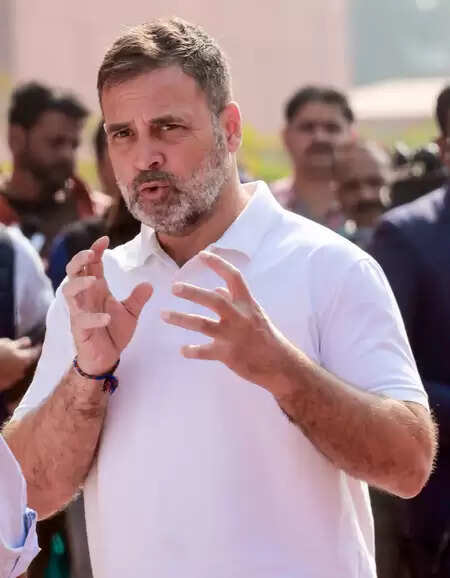 आईएमएफ के भारतीय अर्थव्यवस्था की तारीफ करने पर भाजपा बोली- ये राहुल गांधी के झूठे नैरेटिव का जवाब