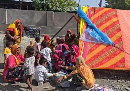 राजस्थान : झालावाड़ में आवारा कुत्तों का आंतक, 2 साल की मासूम को नोचकर मार डाला