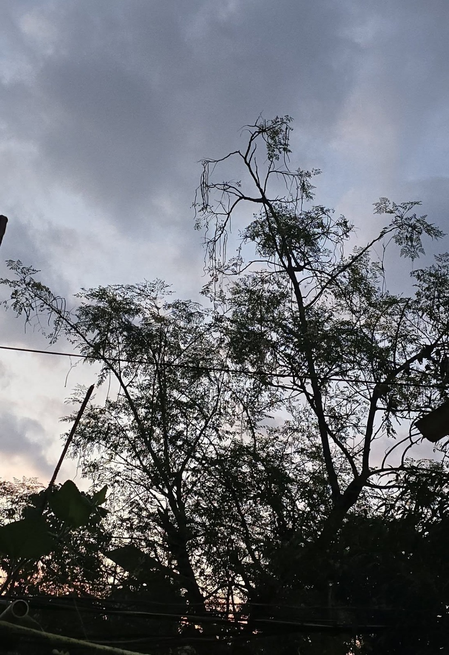 चक्रवात ‘अर्नब’ का झारखंड में असर, कई जिलों में भारी बारिश का अलर्ट, रांची-लोहरदगा में दो दिन स्कूल बंद