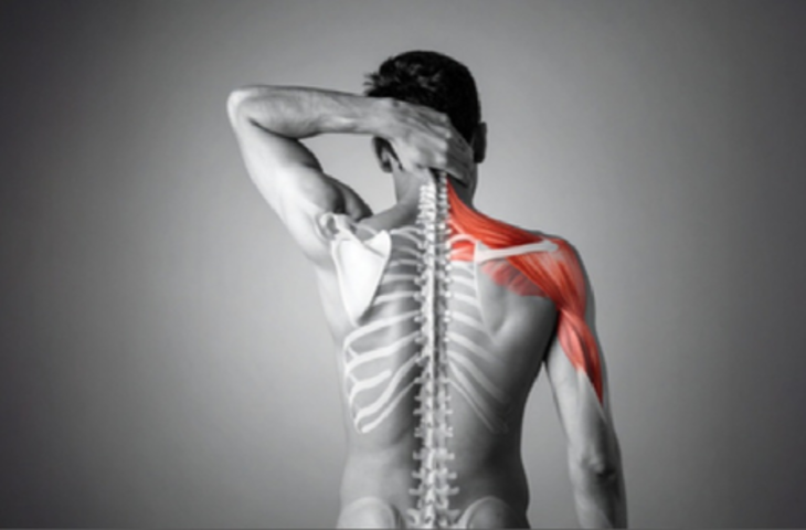 कैल्शियम और विटामिन डी का कॉम्बो रीढ़ की हड्डी के लिए संजीवनी, जानें दोनों को साथ लेना क्यों जरूरी?