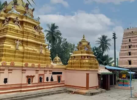 श्री दुर्गा नागेश्वर स्वामी मंदिर: सर्प दोष निवारण का प्रमुख तीर्थ, ‘दक्षिण का काशी’