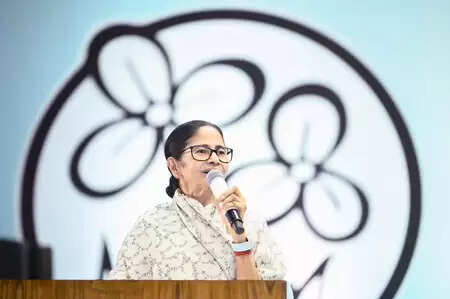 टीएमसी ने पश्चिम बंगाल में एसआईआर प्रक्रिया पर मुख्य निर्वाचन अधिकारी को आपत्ति पत्र सौंपा