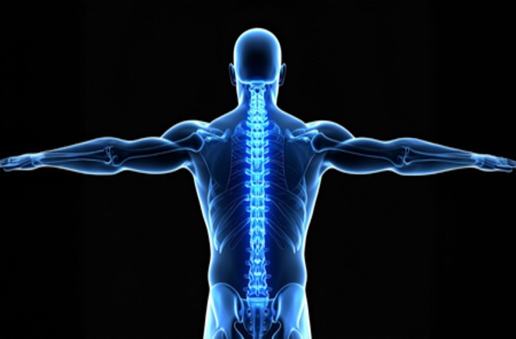 जापान के शोधकर्ताओं ने स्टेम सेल्स की मदद से किया रीढ़ की हड्डी के फ्रैक्चर का इलाज