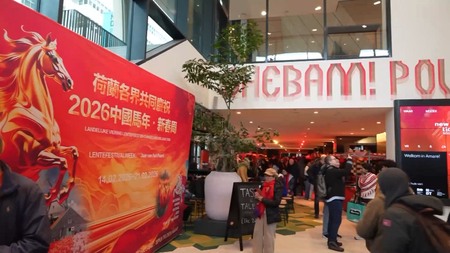 नीदरलैंड के द हेग में लगभग 10,000 लोगों ने चीनी नववर्ष मनाया