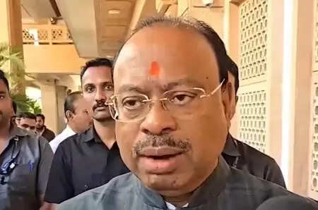 महाराष्ट्र निकाय चुनाव : महायुति की जीत पर चंद्रशेखर बावनकुले बोले, "डबल इंजन की सरकार ही करेगी विकास"