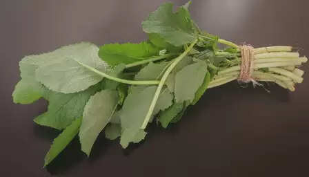 सर्दियों में सरसों का साग: सेहत का कवच और स्वाद का साथी