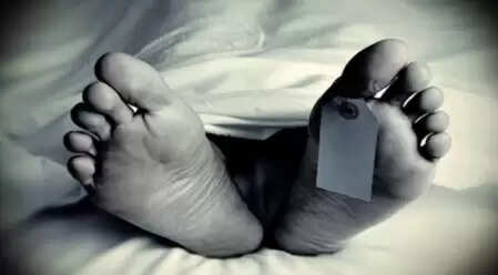 बीजापुर में निर्मम हत्या, दो अज्ञात हमलावरों ने सो रहे युवक की ली जान