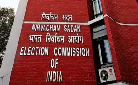 एसआईआर सर्वे: तमिलनाडु में कट सकते हैं लाखों मतदाताओं के नाम, अपील जमा करने की अंतिम तारीख 11 दिसंबर