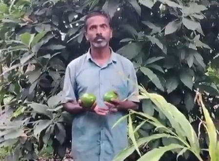 पीएम के 'मन की बात' में जिक्र के बाद चिकमगलूर में तेजी से बढ़ रही एवोकाडो की खेती