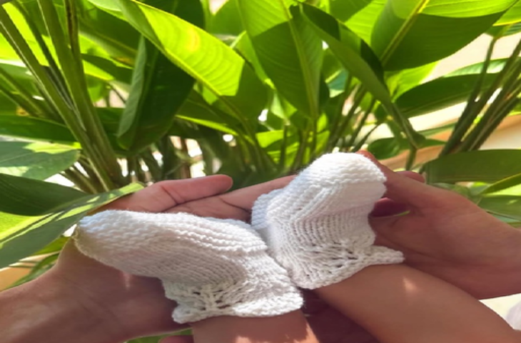 सिंहावलोकन 2025 : बॉलीवुड के इन सेलिब्रिटी कपल्स के घर खुशियों ने दी दस्तक