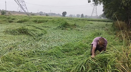 बिहार में भारी बारिश और तूफान; सीतामढी, मधुबनी के लिए जारी हुआ रेड अलर्ट