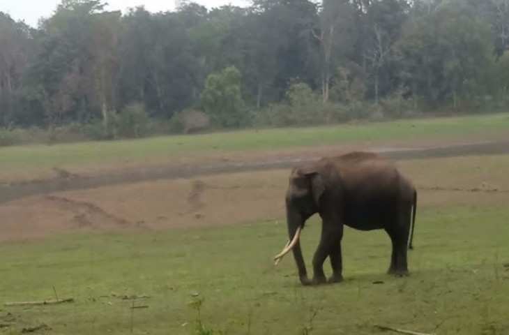 बंगाल के झाड़ग्राम में हाथी के हमले में व्यक्ति की मौत, पत्‍नी घायल