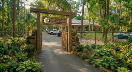 गुजरात को मिलेगी पहली हाई-टेक नर्सरी, बनासकांठा में 3.5 करोड़ की लागत से तैयार होगा 'ग्रीन मॉडल'