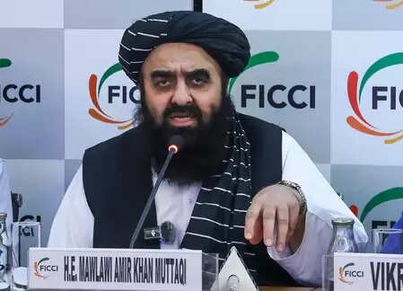 पाकिस्तान पर फूटा तालिबान का गुस्सा, अफगानिस्तान पर 'रहस्यमयी प्रोजेक्ट्स' थोपने का लगाया आरोप