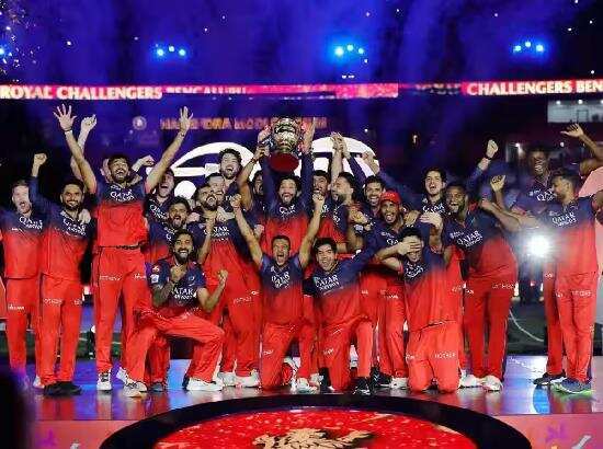 जिस टीम में गया उसे बनाया चैंपियन, आरसीबी की जीत में इस गुमनाम शख्स का था बडा हाथ, RCB को यूं ही नहीं मिली ट्राफी