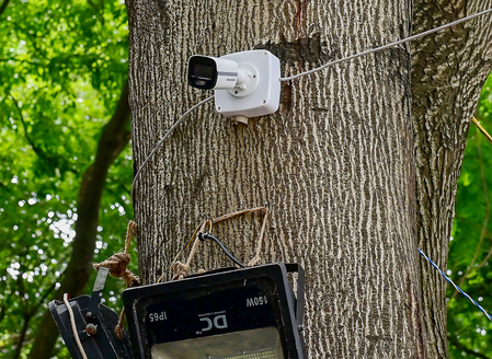 केरल चुनाव: कन्नूर जिले के सभी 2177 मतदान केंद्रों पर लगाए जा रहे सीसीटीवी कैमरे