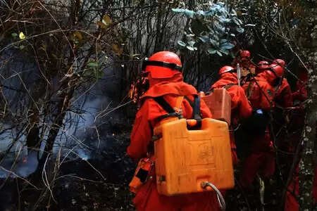चीन के युन्नान में 2 दिनों से नहीं बुझ रही जंगल की आग, बचाव अभियान जारी