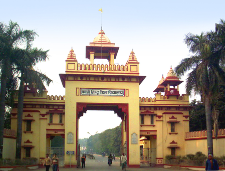 रिसर्चः प्राचीन पौधों के पास है मौसमी तनाव से जूझने की अलग रणनीति