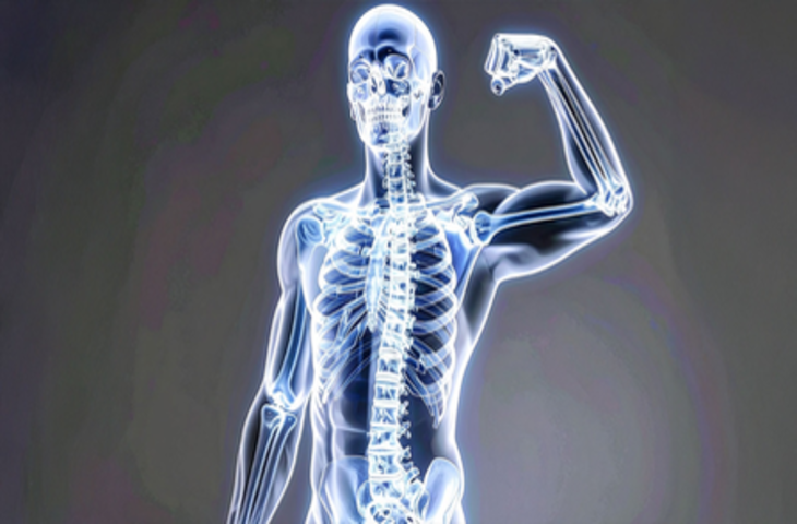 हड्डियों को मजबूत रखता है बोन मैरो, आयुर्वेदिक औषधियों से मिलेगी ताकत