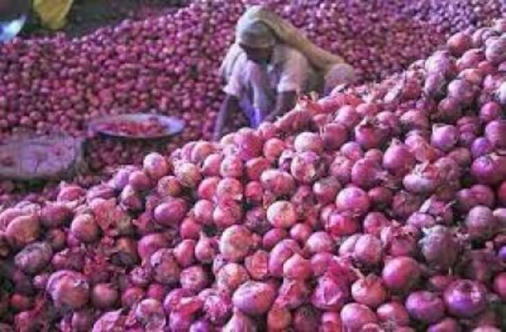 सरकार ने शर्तों के साथ बांग्लादेश, यूएई में प्याज के निर्यात को दी मंजूरी