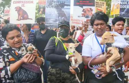 लाहौल-स्पीति में पशु क्रूरता पर अंकुश लगाने के लिए हुई बैठक