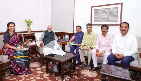 महाराष्ट्र के मुद्दों को लेकर प्रतिनिधिमंडल की केंद्रीय गृह मंत्री से मुलाकात, हत्याकांड से लेकर बाढ़ राहत तक उठी मांगें