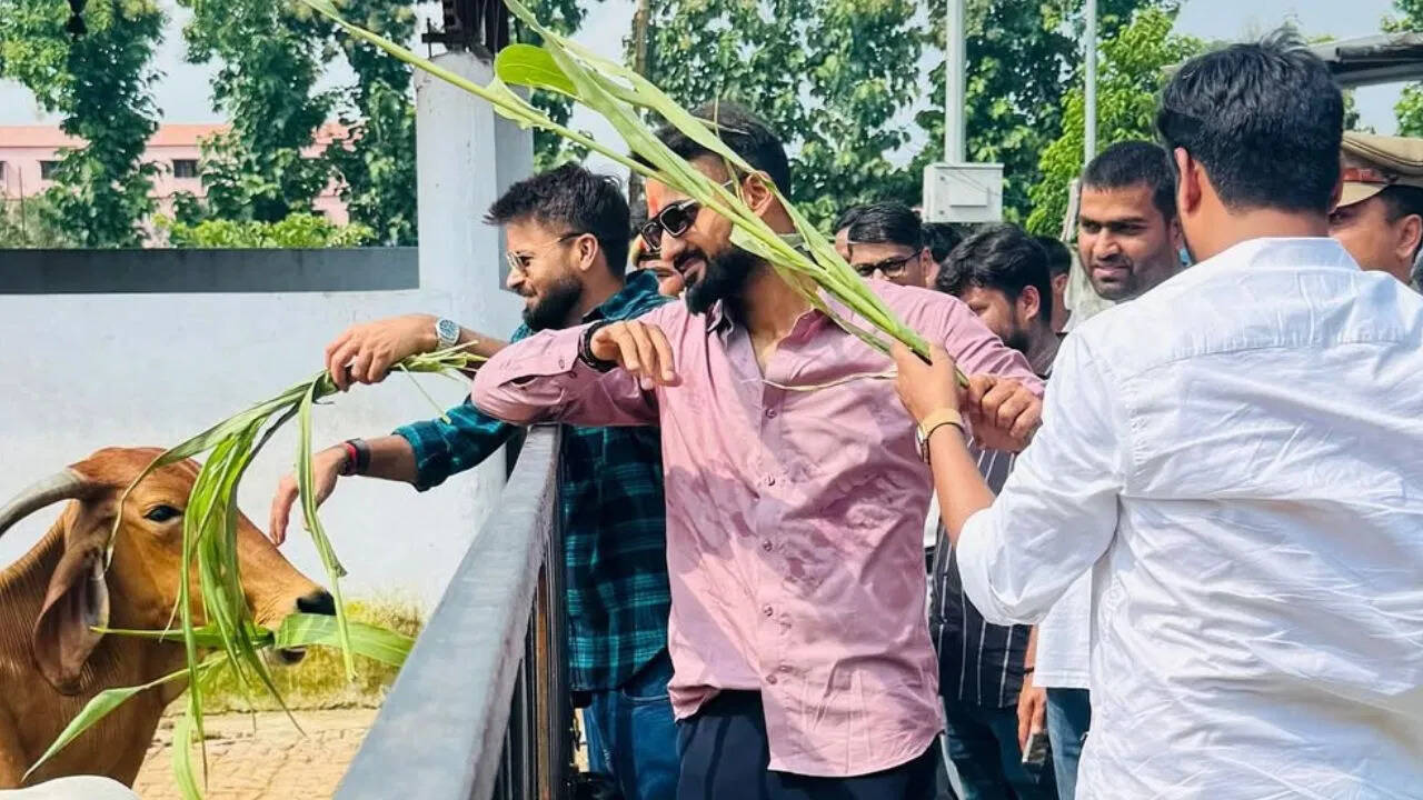 गोरखपुर पहुंचे आकाशदीप और मुकेश कुमार, मंदिर में किए दर्शन, गायों को खिलाया चारा
