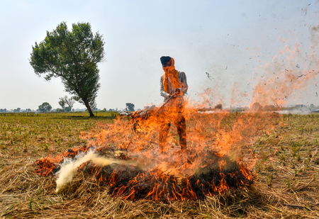 पंजाब में 49 पराली जलाने की घटनाएं दर्ज, 10 मामलों में लगाया गया 50 हजार रुपये जुर्माना