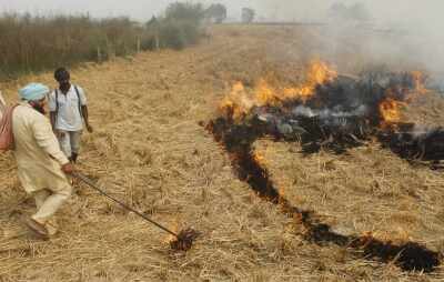 पंजाब में पराली जलाने की 510 घटनाएं दर्ज, 184 मामलों में लगा पर्यावरणीय जुर्माना