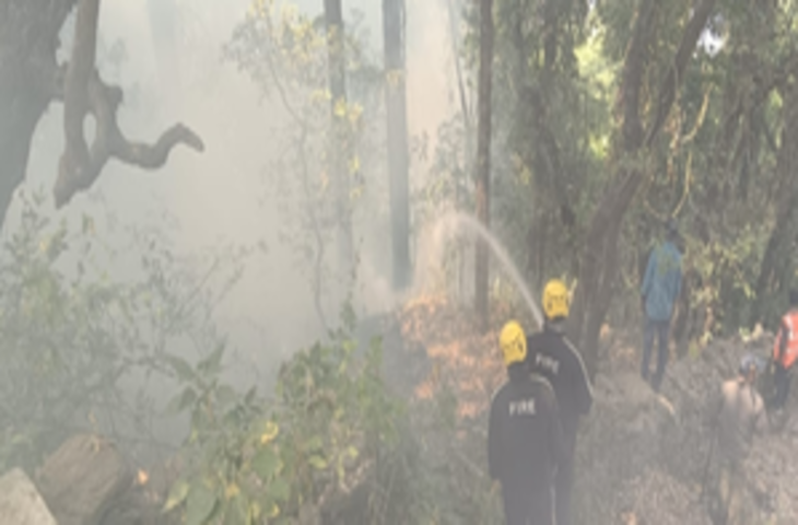 उत्तराखंड : जंगल में लगी आग बुझाने के लिए वायुसेना के हेलीकॉप्टर की ली जा रही मदद, सीएम धामी ने बुलाई समीक्षा बैठक