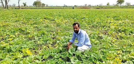 पीएम किसान सम्मान निधि योजना 2030-31 तक जारी, हरियाणा के किसानों ने फैसले का किया स्वागत