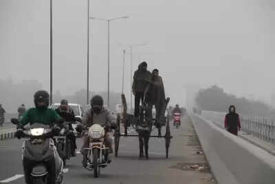 जम्मू-कश्मीर: जनवरी में 96 प्रतिशत से कम बारिश, तापमान शून्य से नीचे