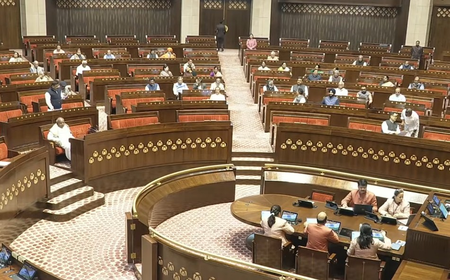 राज्यसभा: टीएमसी नेता ने न्यूनतम वेतन का मुद्दा उठाया, 'आप' सांसद ने की अग्निवीर योजना की आलोचना