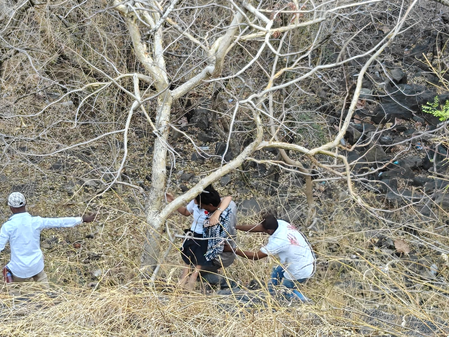 महाराष्ट्र: गोंदिया में दो ट्रेलर की टक्कर में ड्राइवर की मौत, जलगांव में एक पेड़ ने बचाई चार लोगों की जान