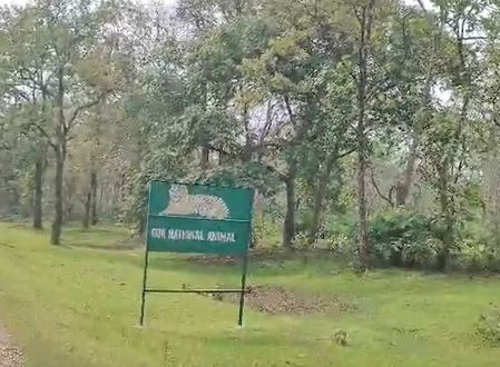 मध्य प्रदेश : मुख्यमंत्री मोहन यादव रानी दुर्गावती टाइगर रिजर्व में दो चीतों को छोड़ेंगे