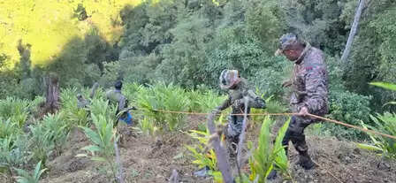 अरुणाचल ट्रक हादसा: सर्च ऑपरेशन खत्म, 20 शव बरामद