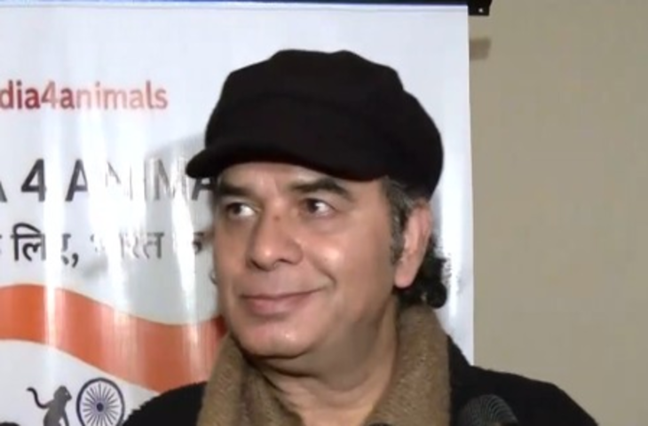 'वे भी भगवान का रूप', स्ट्रीट डॉग्स को रिलोकेट करने के मामले पर मोहित चौहान ने रखे विचार