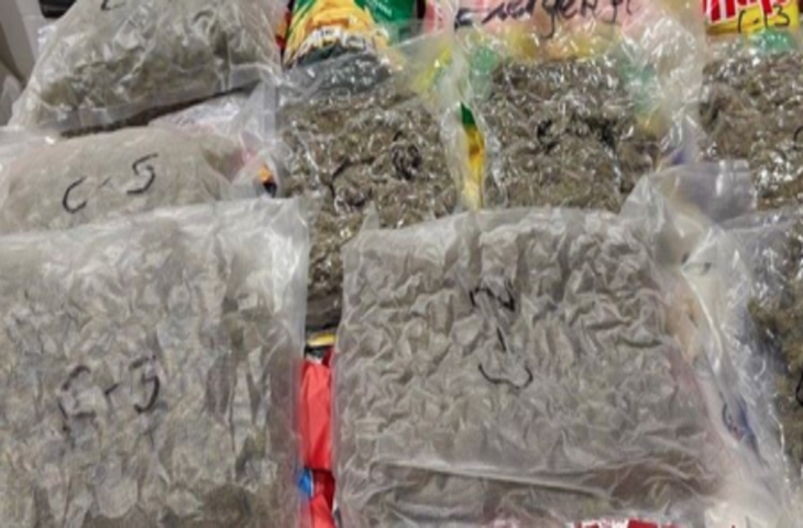 अहमदाबाद: अंतरराष्ट्रीय हवाई अड्डे पर डीआरआई ने 37 किलो से ज्यादा हाइड्रोपोनिक वीड जब्त की, चार गिरफ्तार