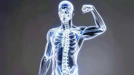 हड्डियों को मजबूत रखता है बोन मैरो, आयुर्वेदिक औषधियों से मिलेगी ताकत