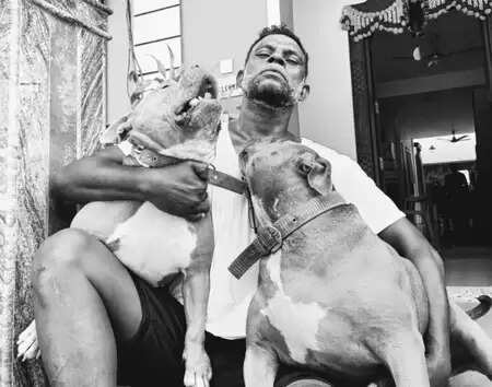 रजनीकांत की फिल्म 'जेलर 2' में नजर आएंगे विनायकन, अभिनेता ने की घोषणा