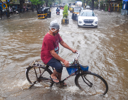 महाराष्ट्र में मूसलाधार बारिश का कहर, पालघर में 203 मिमी वर्षा; कई नदियां खतरे के निशान से ऊपर