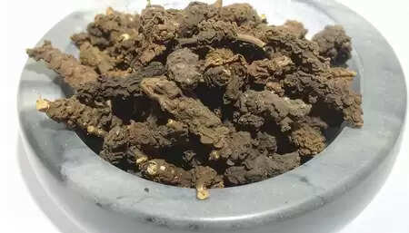 सुगंध बाला: नींद, तनाव और पाचन सुधारने वाली आयुर्वेदिक जड़ी-बूटी