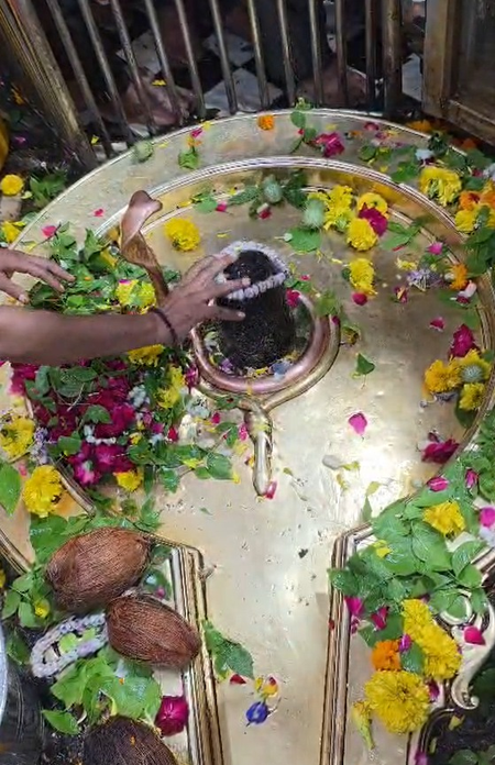 सावन का प्रथम सोमवार: ओंकारेश्वर-ममलेश्वर ज्योतिर्लिंग में उमड़ा आस्था का सैलाब, शाही सवारी का श्रद्धालुओं को इंतजार